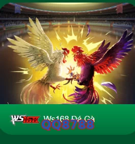 QQ8788